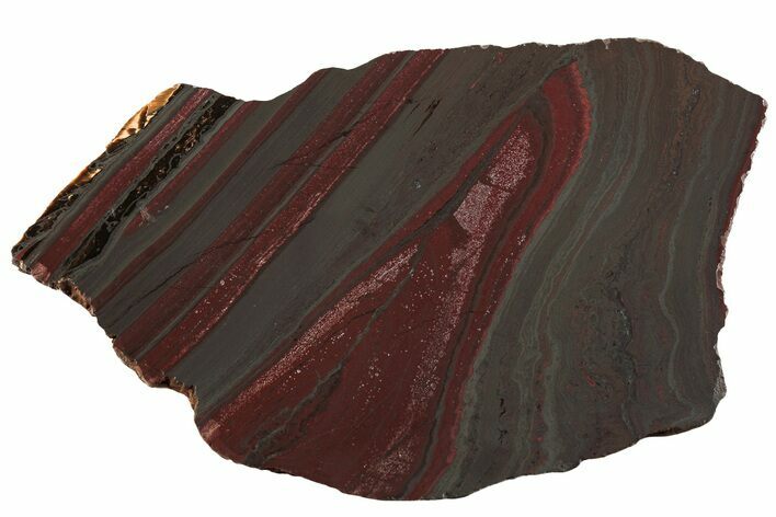 Polished Tiger Iron Stromatolite Slab - Billion Years #221972